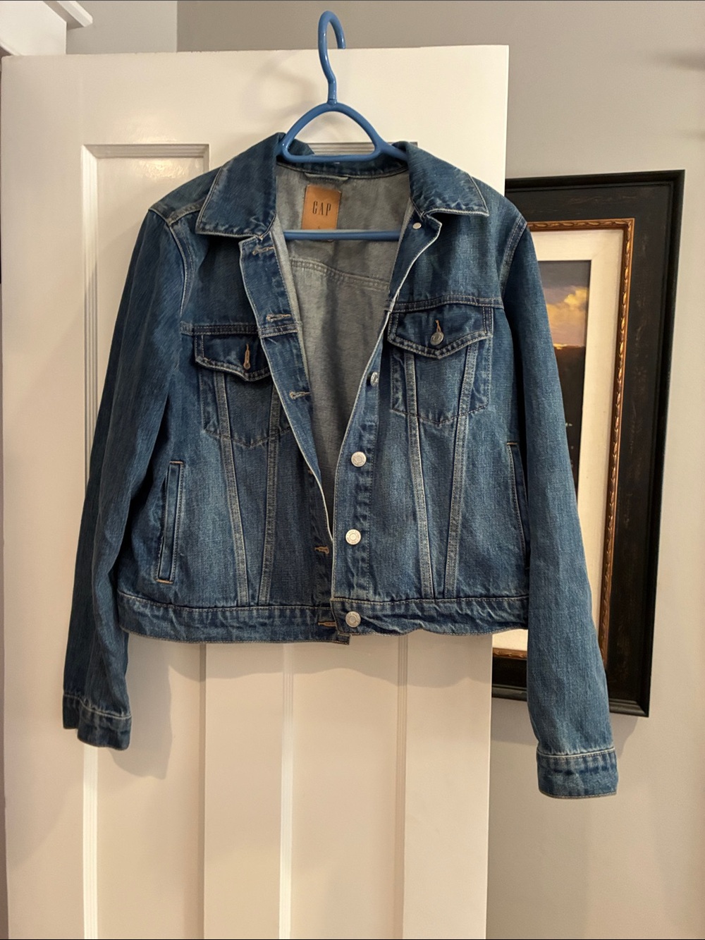 GAP Women's Medium Blue Denim Jacket